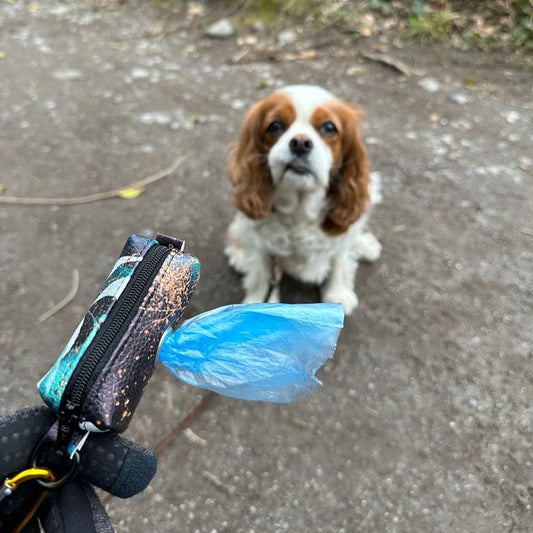 Dog poop bag holder